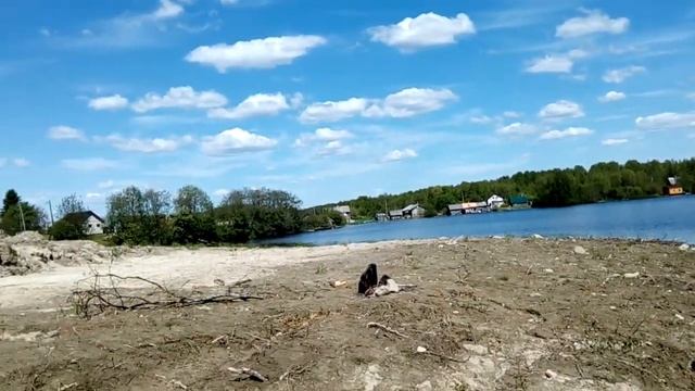 Карелия, о. Светозеро, 17.06.2017г. Накупался. смотреть онлайн