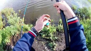 Карась на валерьянку. Рыбалка на поплавочную удочку