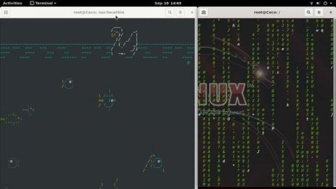Terminal ASCII Aquarium and Matrix Kali Linux - 4K