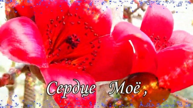 Мужчине моей мечты! С любовью. #видеооткрытки # анимация смотреть онлайн