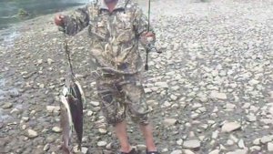 Ловля ленка на спининг