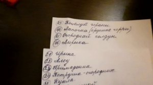 Низкорослые томаты на 2023 год!