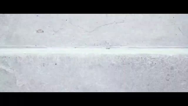 ONOCLEA SENSIBILIS - A day in the life смотреть онлайн