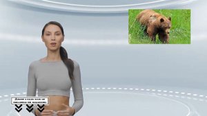 В Ханты-Мансийске объявили охоту на вышедшего в город медведя