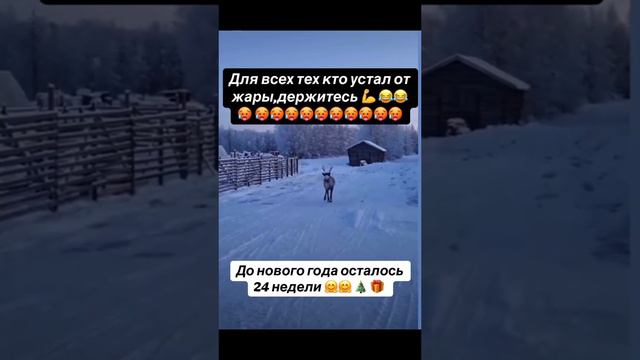 Для всех кто устал от жары смотреть онлайн