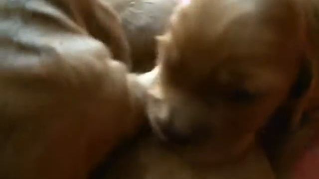 На добраніч ?? Солодких снів смотреть онлайн