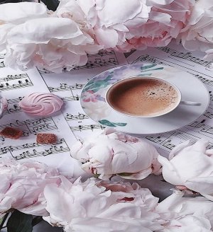 Добрый День! Пусть День Будет Тихим и Спокойным!