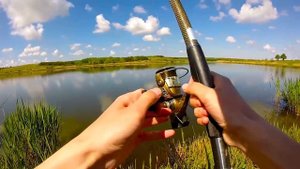 Ловля карпа на донку весной.Рыбалка.Fishing