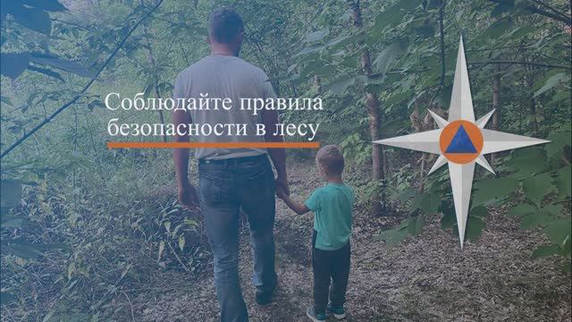 #СоветыМЧС. Как не заблудиться в лесу