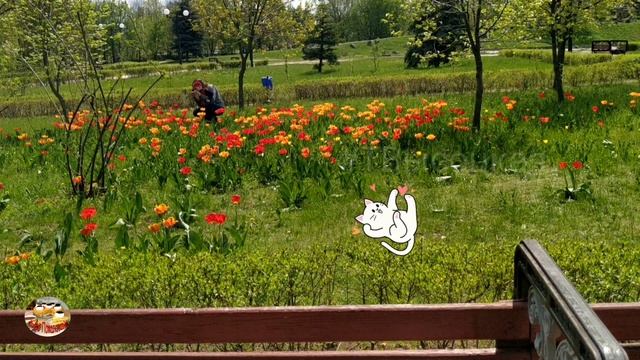 Луганск Сегодня 2021. Включили фонтаны!! Сквер "Памяти" / парк "Дружбы народов". смотреть онлайн