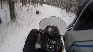 Прохват по лесу на снегоходе brp ski doo expedition sport 550f
