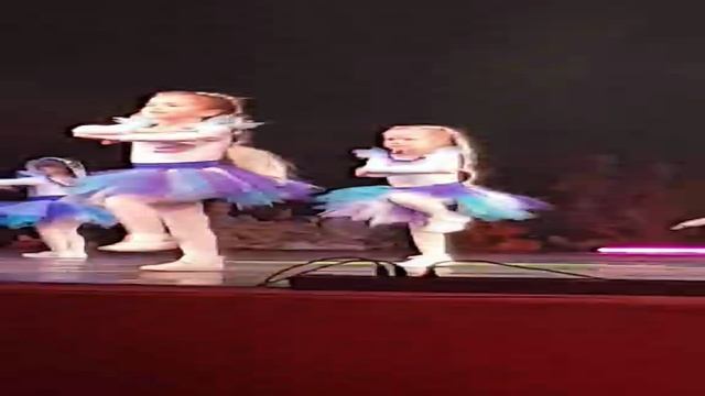 Налетова Валерия_новогодняя 2019 ТОДЕС