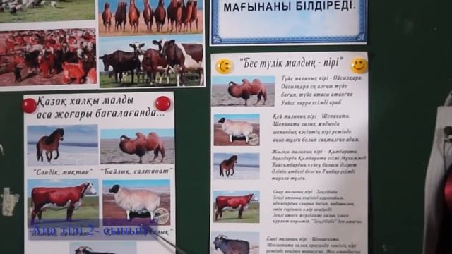 2 р анги ана тили 03,11 алмагүл смотреть онлайн