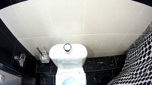 Устройство автоматического смыва для унитаза - СМЫВАТЕЛЬ ?