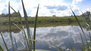 Покатушки на электровелосипеде.