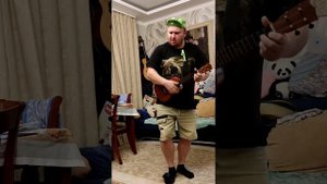 Йожин с бажин кавер (cover) укулеле +казу +фут бубен