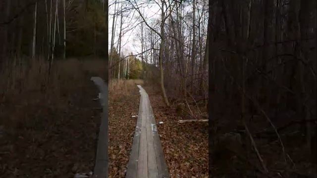 Озеро светлояр Нижегородская обл. за 47 сек.
