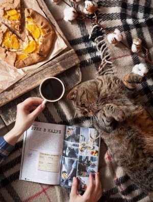 Добрый Вечер! Пускай этот вечер снимет печаль