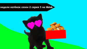 Недели котёнок сезон 2 серия 5 на tiktok