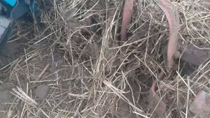 Фрезерование целины 135-ым дизельком. Точить фрезы или нет???