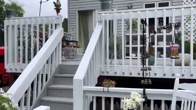 ?моя белая терраса в розовом цвете ?10 сентябрь 2020 ? смотреть онлайн