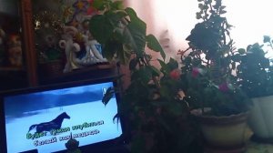 Песенка о медведях.