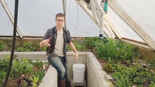 A BETTER Greenhouse - Passive Solar Greenhouse - Underground Design смотреть онлайн