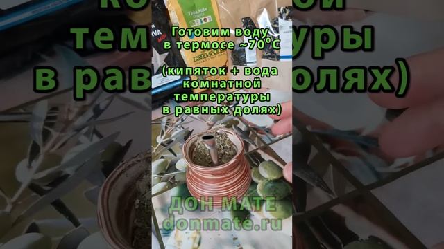 Инструкция по приготовлению Йерба Мате (Аргентина, Парагвай) смотреть онлайн