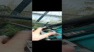 VID_20221121_083247.mp4