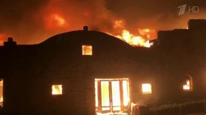 Из-за лесных пожаров в Калифорнии ввели режим ЧС по всему штату