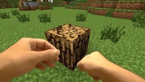 REALISTIC MINECRAFT IN REAL LIFE! - IRL Minecraft Animations / In Real Life Minecraft Animations