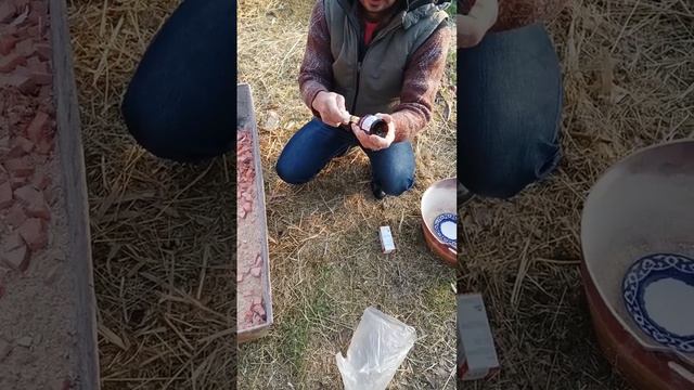 Тыква для овец, полезно и дёшево смотреть онлайн