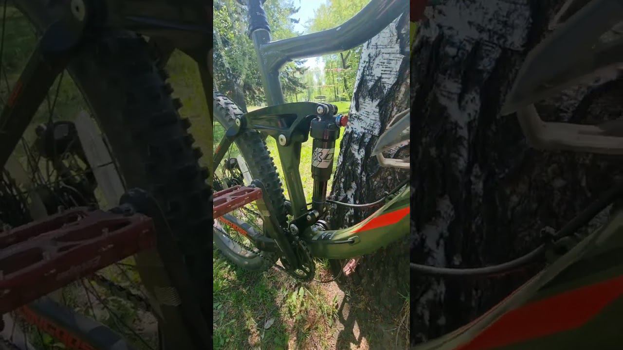 Mongoose teocali sport!