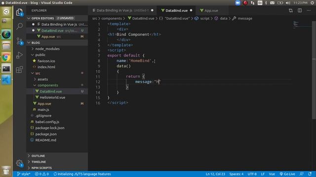 Vue js tutorial for beginners #11 Data binding