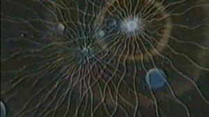 MAVS - Satellite of the Sun (full extended version)