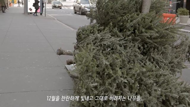 뉴욕 일상 브이로그 / 집순이로 시작한 새해, 모닝루틴, 센트럴파크, 카페, 아기고양이 임보, 집밥 완두콩 리조또, 미국 직장인 프리랜서