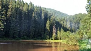 Куда поехать в неизведанной Украине - Буковинские  Карпаты.