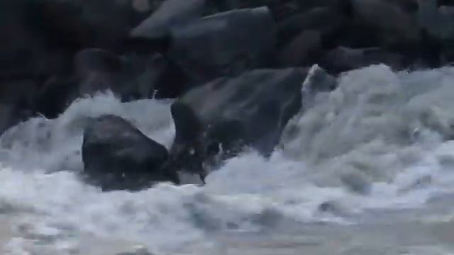 Экстремальный сплав по рекам Алтая.