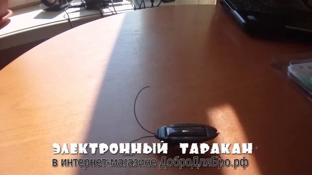 Электронный таракан на ДоброДляБро.рф смотреть онлайн