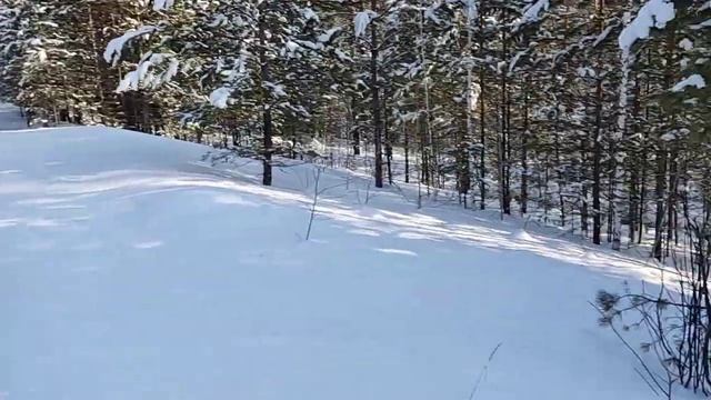 Снегоход Лес 3 2023.02.11 смотреть онлайн