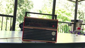 VEF-202 • утро на даче, блютуз, FM