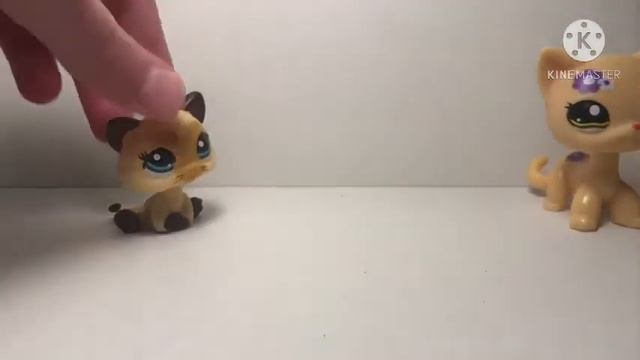 НОВЫЙ ЛПС КОТЁНОК!!!! || ЛПС КОТЯТА И ЩЕНКИ В РОЛЕ СТОЯЧЕК,КОЛЛИ И ДОГОВ!!! смотреть онлайн