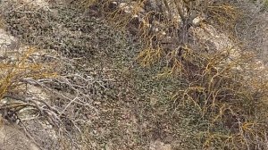 Обзор местности санатория - Крымское приморье- январь 2023 г.