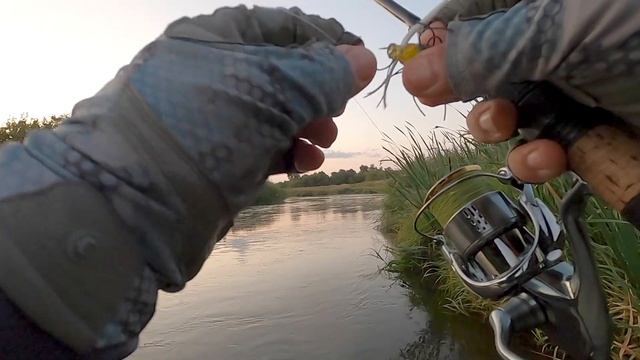 Еще немного о тараканинге| мой рейтинг тараканов смотреть онлайн