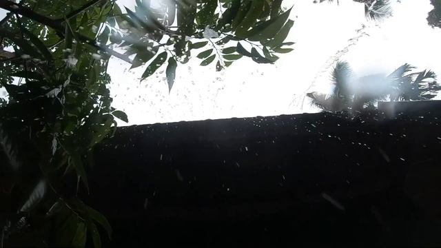 Виолончель и барабаны - музыка для сна, медитации. смотреть онлайн