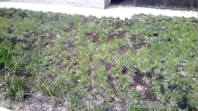 Красивые надписи на подъездах Москва смотреть онлайн