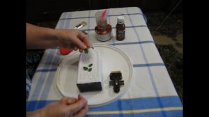 С 8 Марта. .Декорирование бутылки трафаретом.   № 94