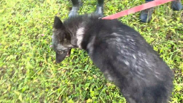 Все мы больше не хотим вас кормить! смотреть онлайн