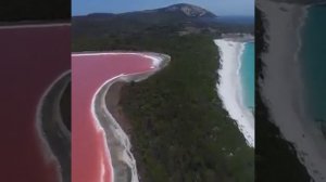 Austrialia Pink lake hiller|| See, enjoy& Share||