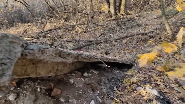 ПОИСК МЕТАЛЛОЛОМА И МЕДИ ВОЗЛЕ ЖЕЛЕЗНОЙ ДОРОГИ БЕЗ МЕТАЛЛОИСКАТЕЛЯ КАК ЗАРАБОТАТЬ ДЕНЬГИ НА МЕТАЛЛЕ